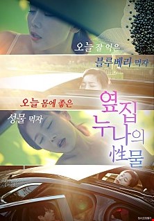 옆집누나의 성물