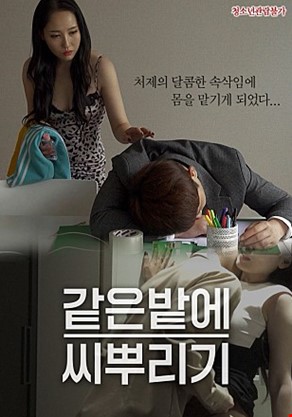 같은밭에씨뿌리기